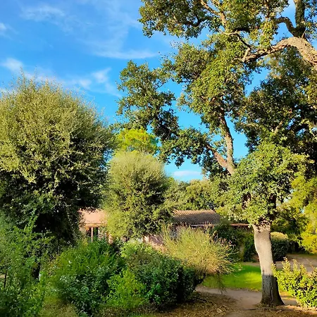 Résidence Les Cigales 3*